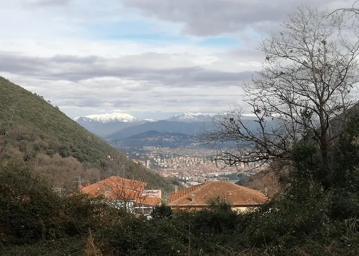 I Limoni Di Matteo