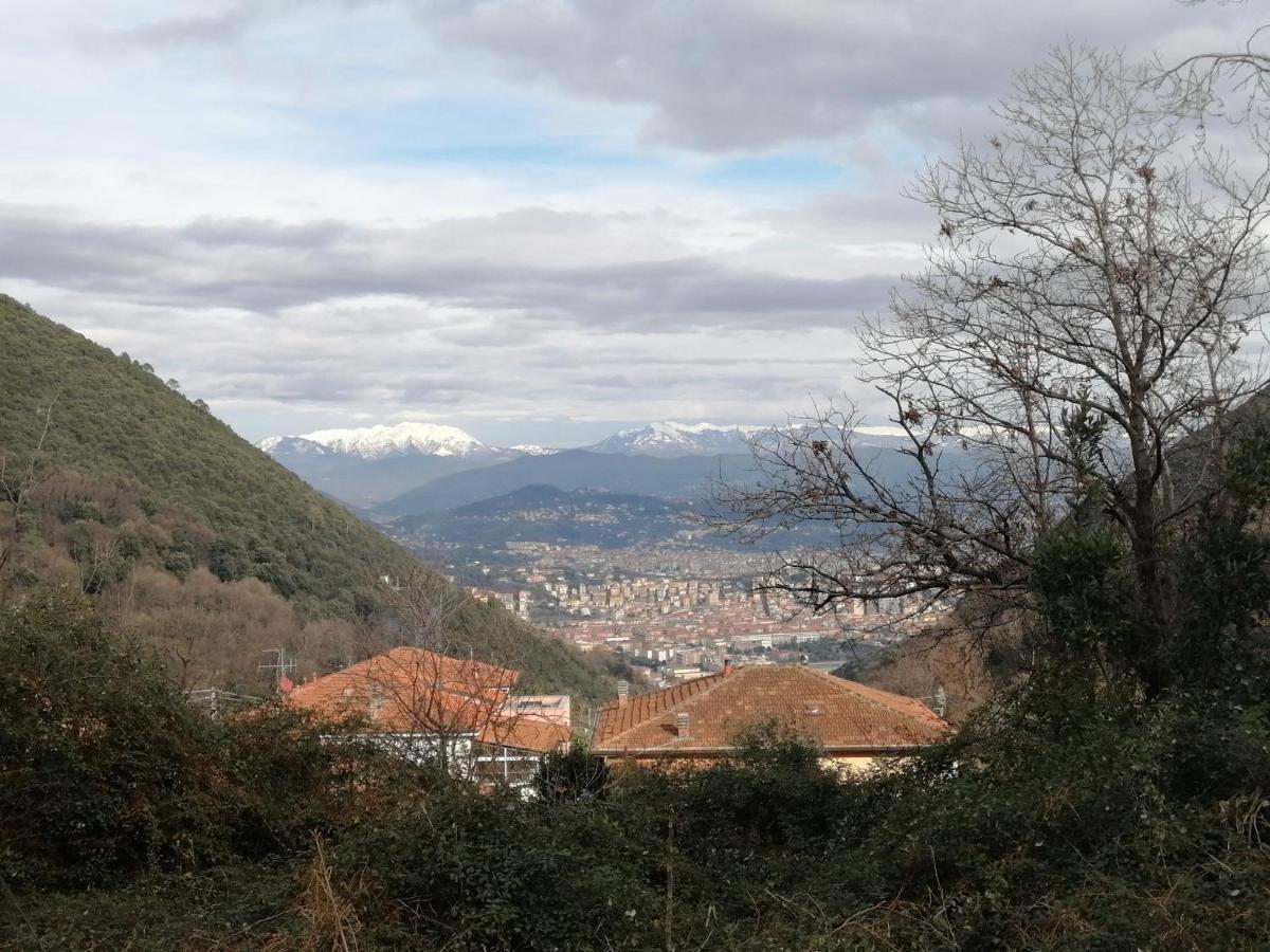 I Limoni Di Matteo